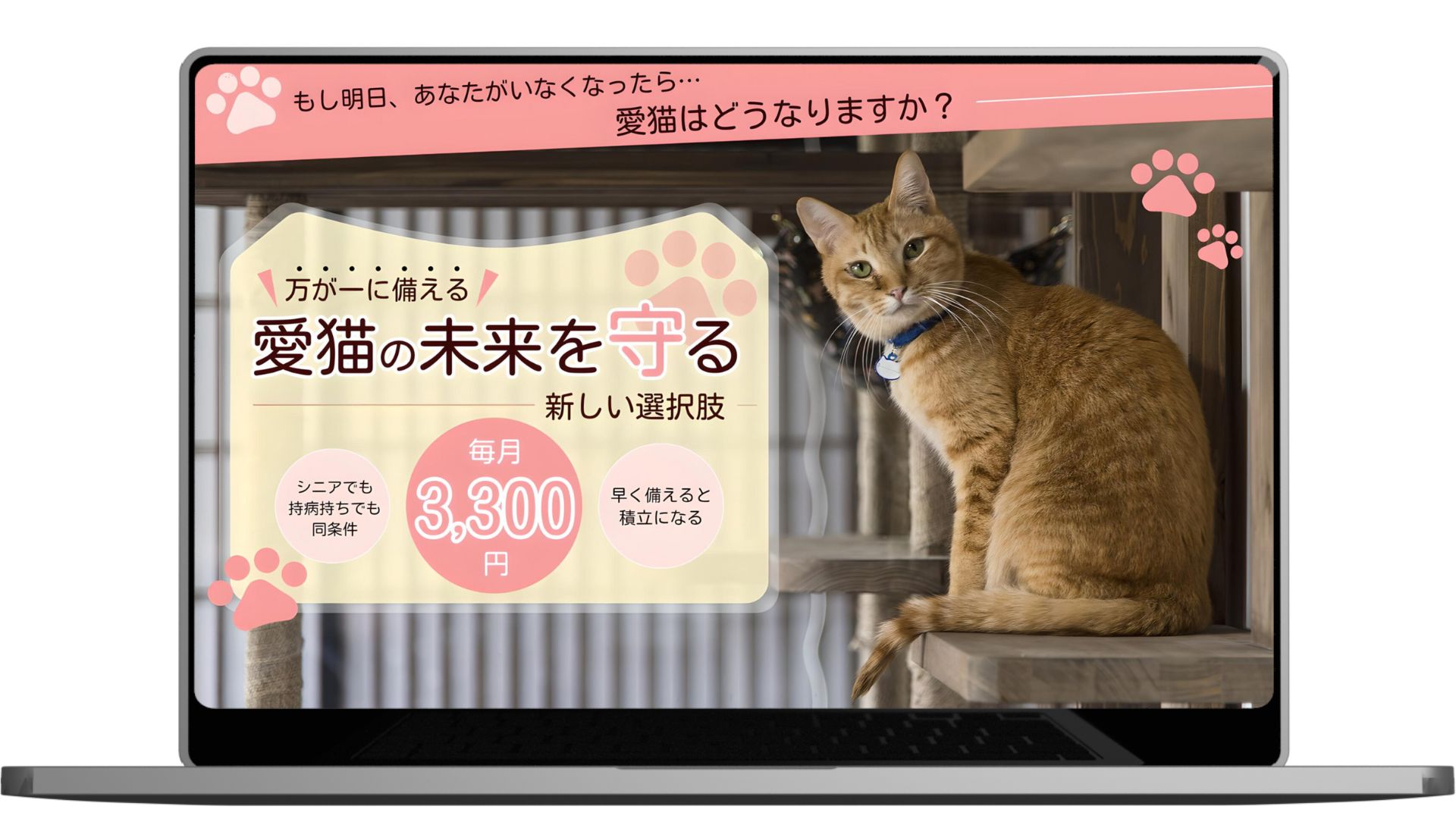 CafeGatto様「愛猫たすけあい制度」公式サイト